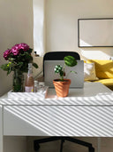 Sunlit desk with plants and flowers