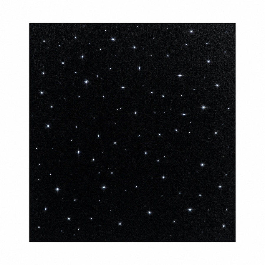 StarBright 2' × 2' fiber optic ceiling acoustic panel (bundle component)
